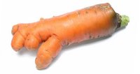 [carrot.jpg]