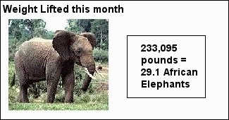 [pr_elephant.bmp]