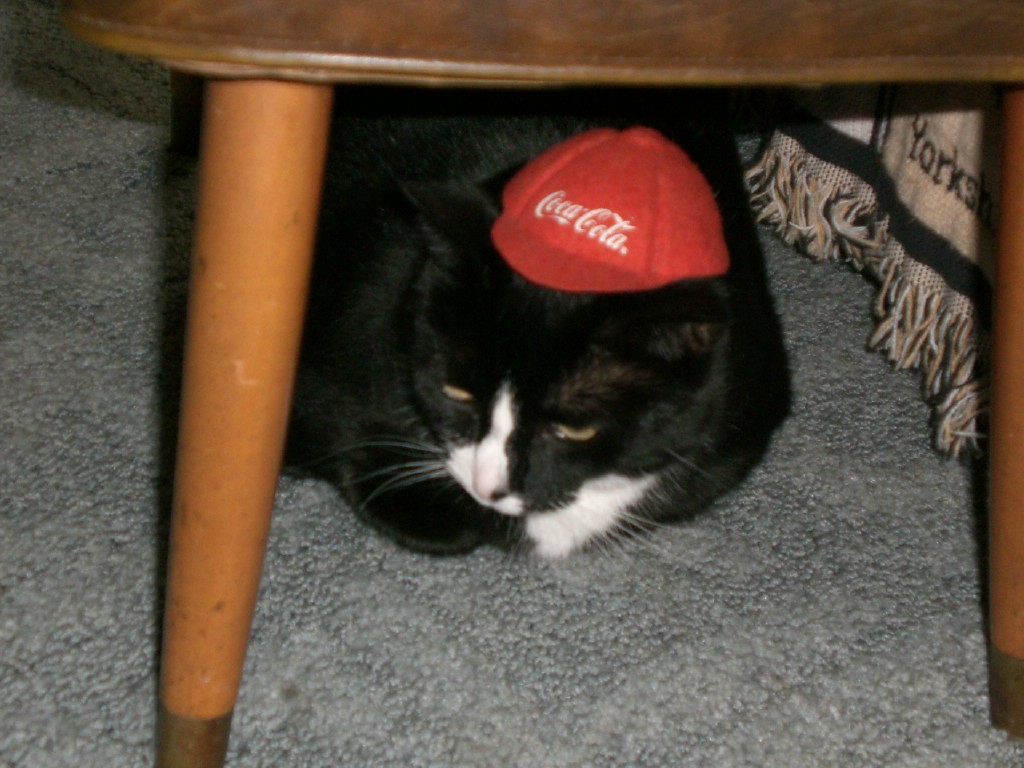 [Spunky+wearing+Coke+hat+6-17-08.jpg]