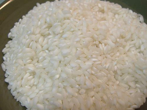 [rice1.JPG]