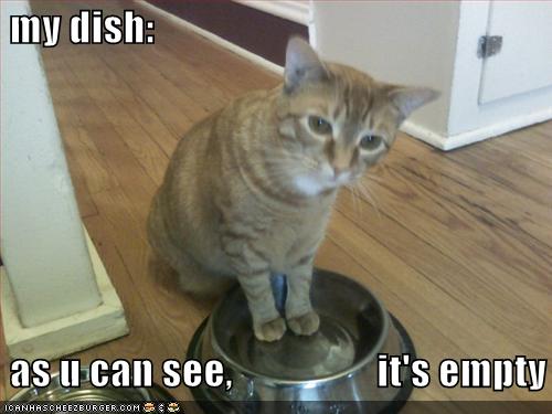 [funny-pictures-cat-wants-food.jpg]