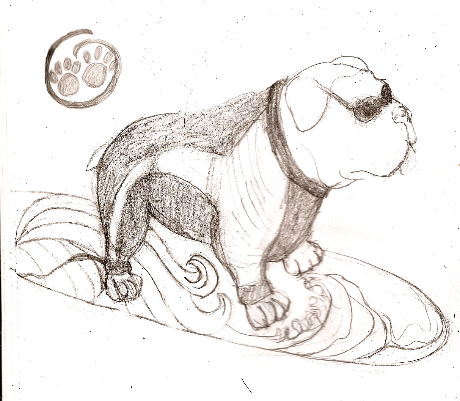 [surfer+dog+sketch.jpg]