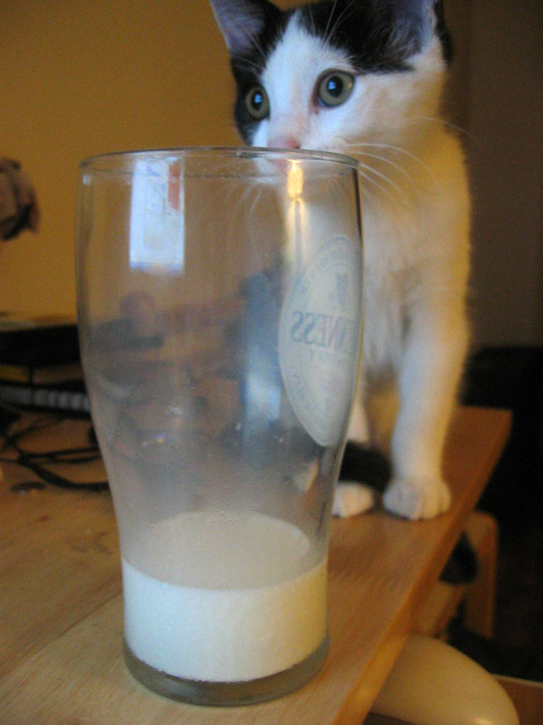 [Milk2.jpg]
