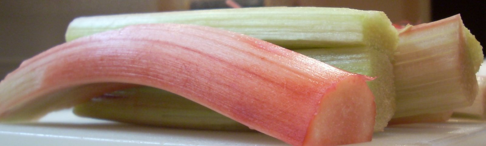 [rhubarb+006.jpg]