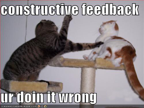 [funny-pictures-fighting-cats-constructive-feedback.jpg]
