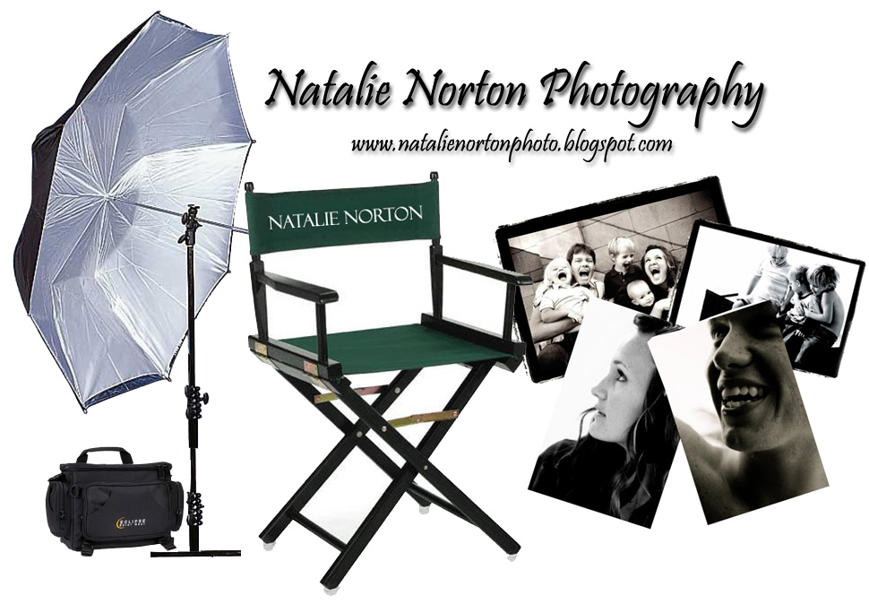 [Nat_NEW+Chair+Logo.jpg]