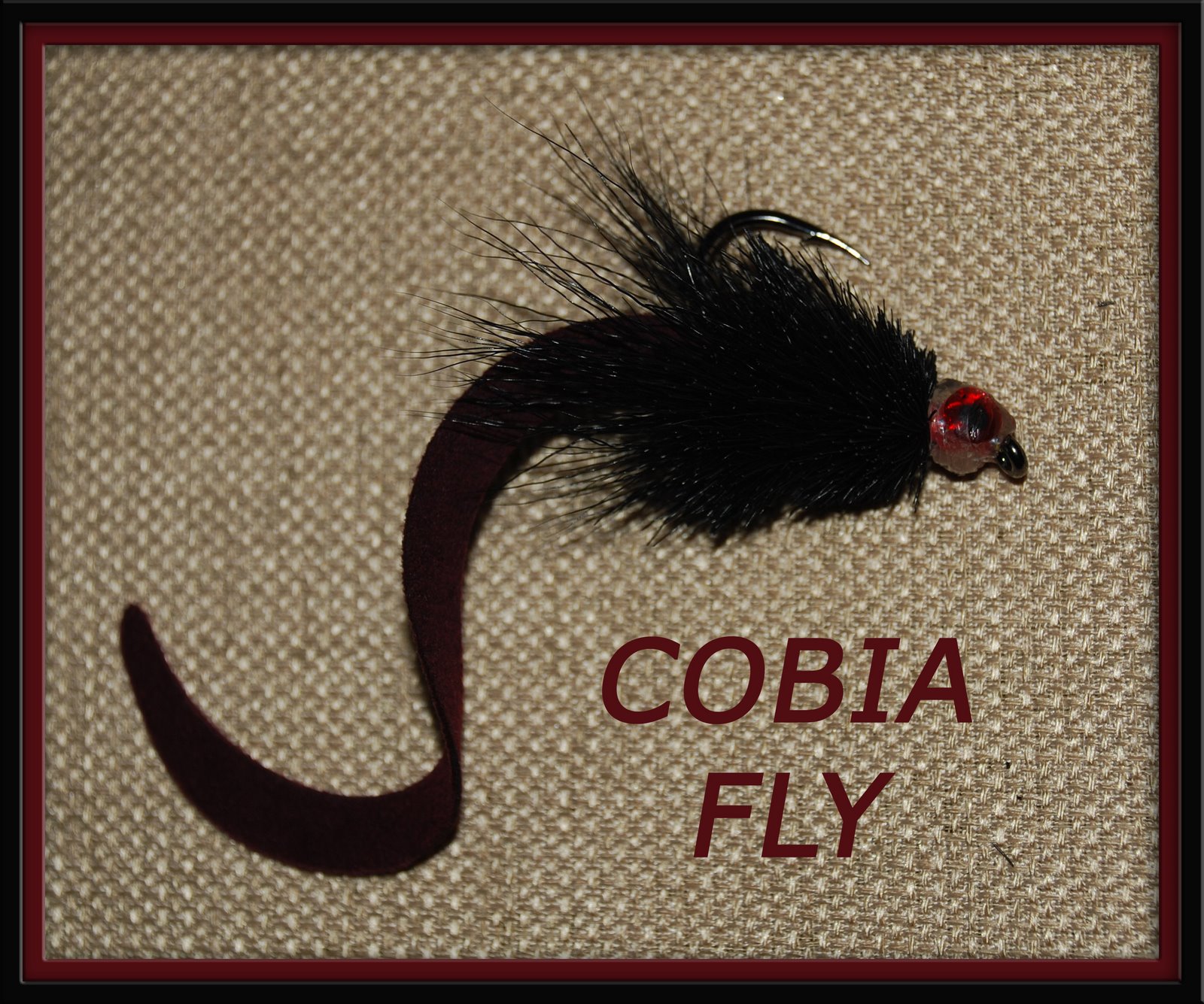 [Cobia+Fly+Fixed.jpg]