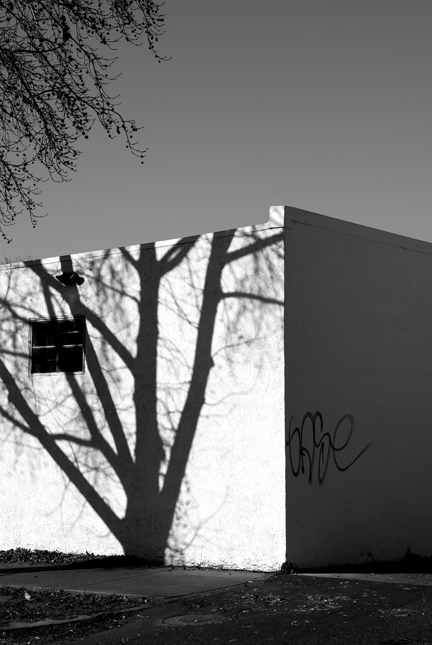 [Tree+On+Wall+blog.jpg]