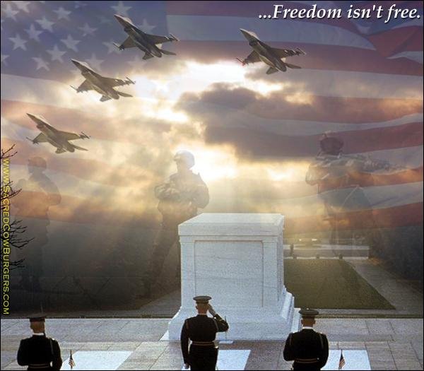 [Memorial+Day+Freedom+Isnt+Free.bmp]