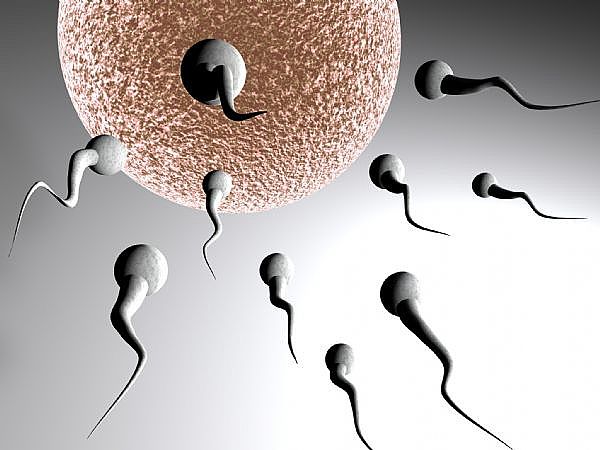 [sperm-main_Full.jpg]