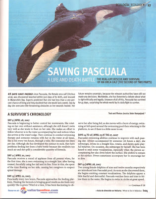 Rip Pascuala - Page 2 Saving+Pascuala2