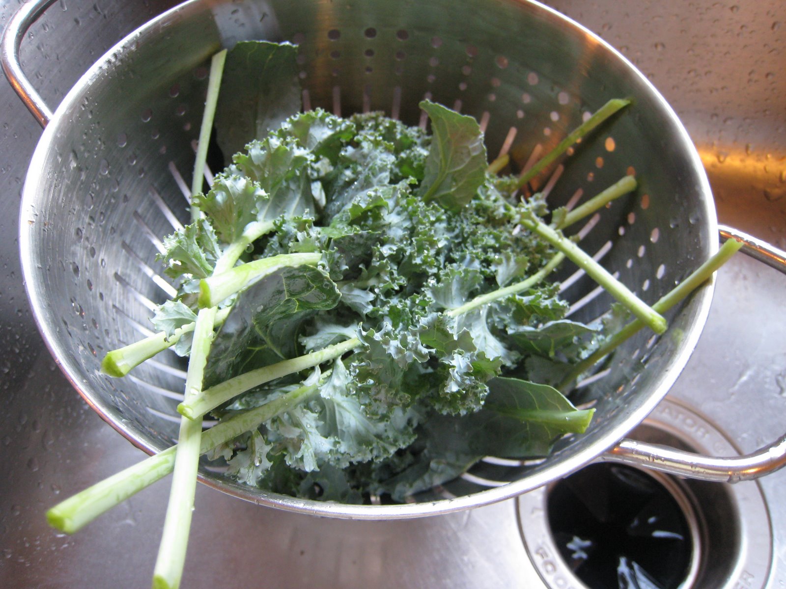 [Fresh+Picked+Kale.JPG]