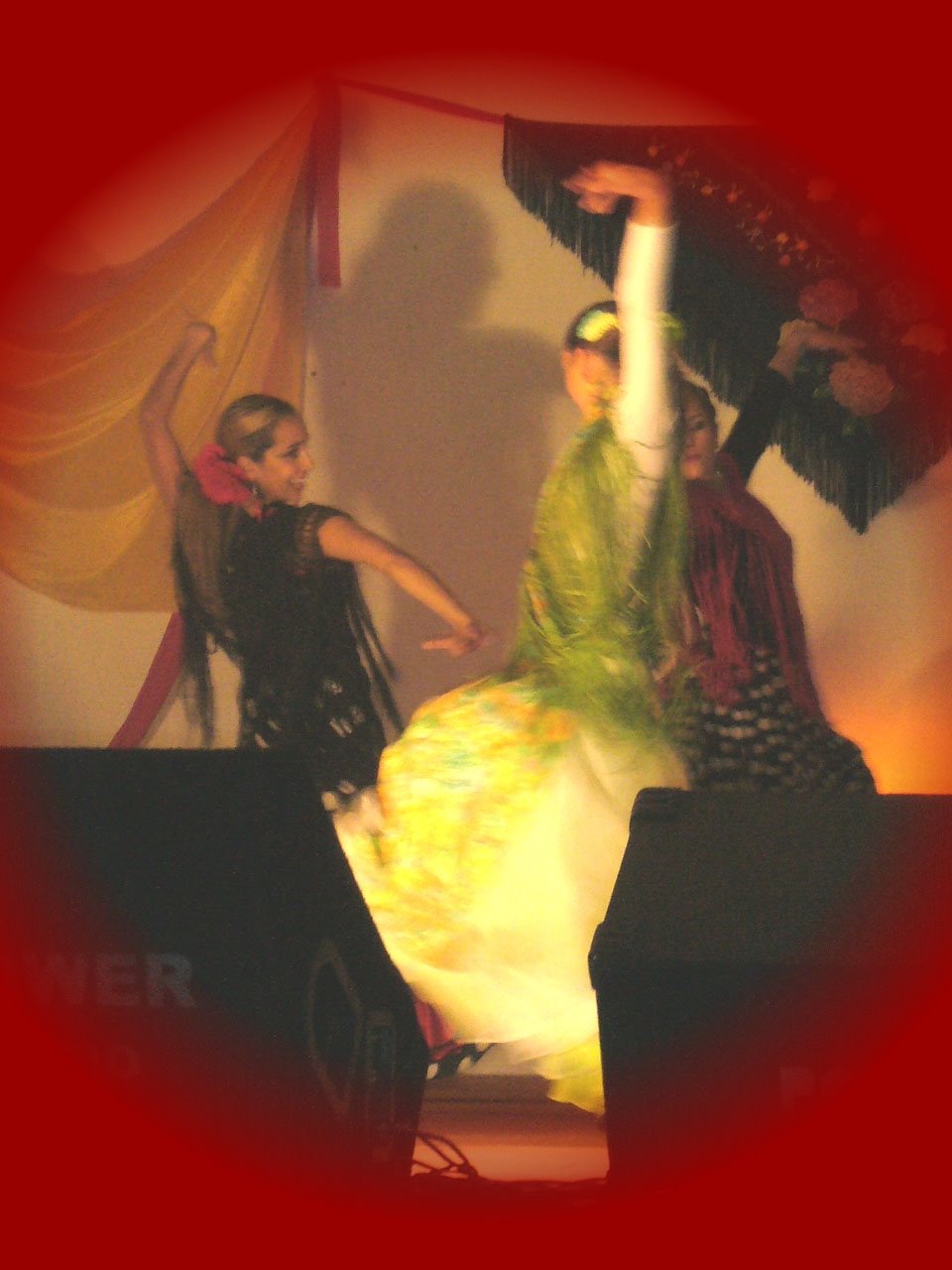 [Flamenco.jpg]