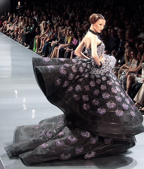 [dior+couture+fw0809.jpg]