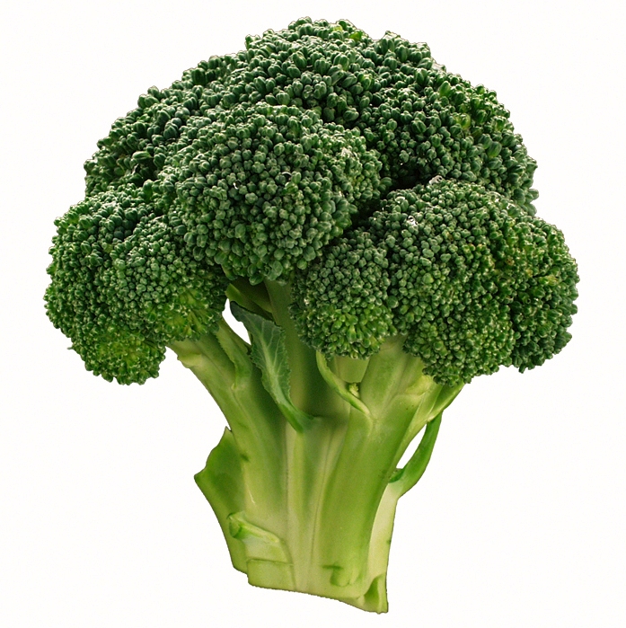 [broccoli.png]