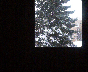 [snowfall.JPG]
