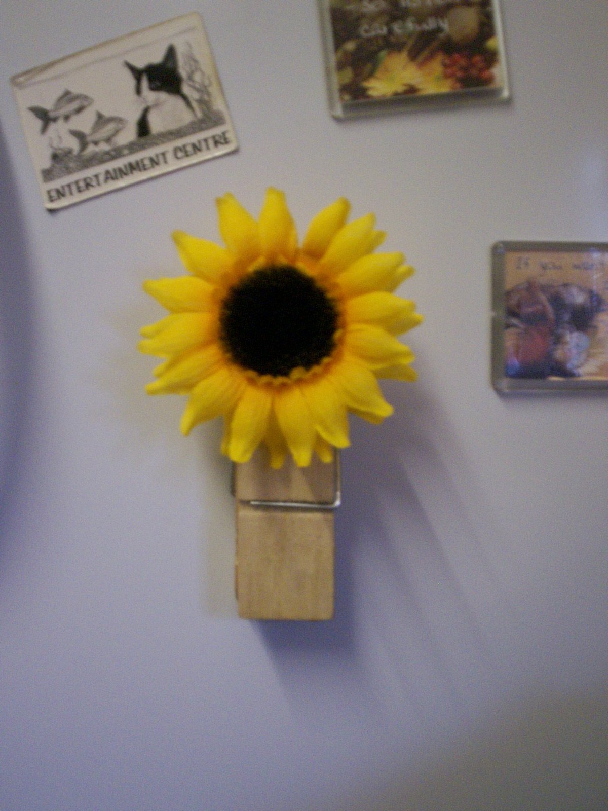 [sunflower2.jpg]