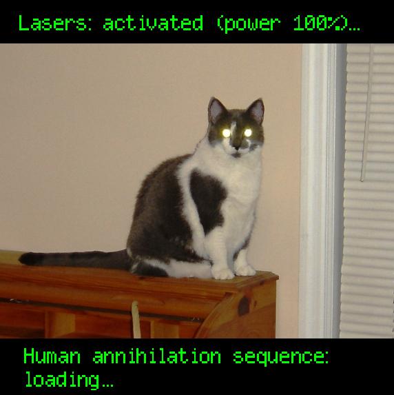 [lasers+activated.JPG]