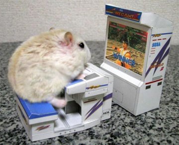 [Hamster-Video-Game-Maze.jpg]