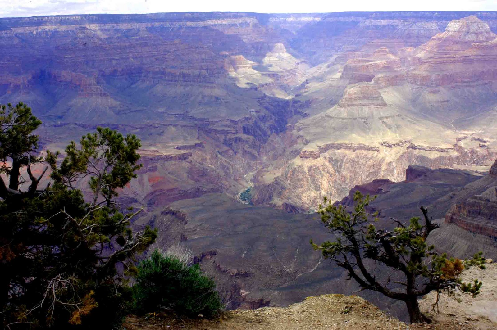 [GRAND+CANYON+LOW+RES.jpg]