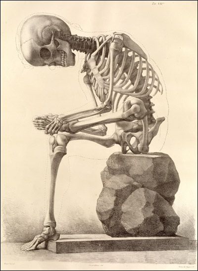 [Skeleton+Lito.jpg]
