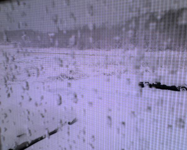 [backyard+with+snow.jpg]