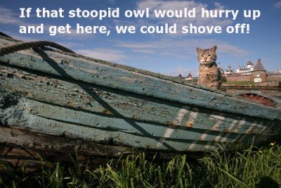 [owlpussboat.jpg]