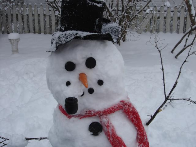 [snowman1.jpg]