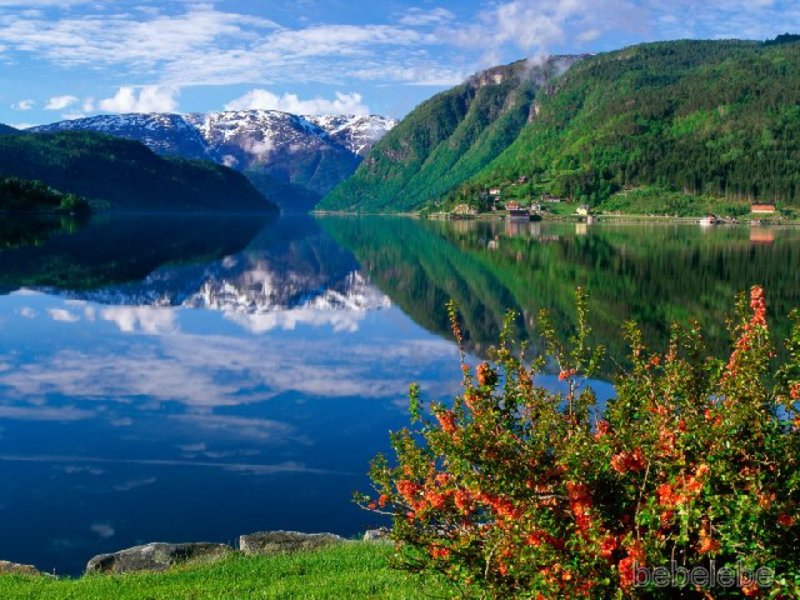 [Ulvik__Hardangerfjord___Norway.jpg]