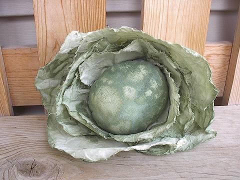 [cabbage.JPG]