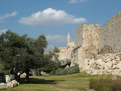 Jardins de Davi em Jerusalém, Israel