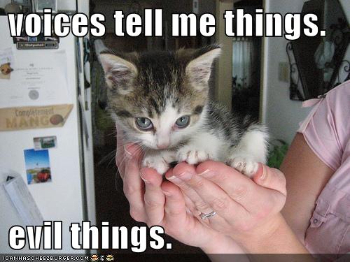 [funny-pictures-evil-cute-kitten-hands.jpg]