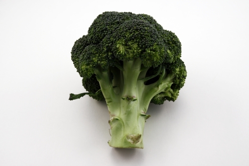 [s_broccoli.jpg]
