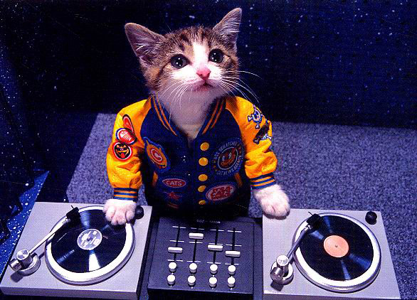 [DJ+Cat.jpg]