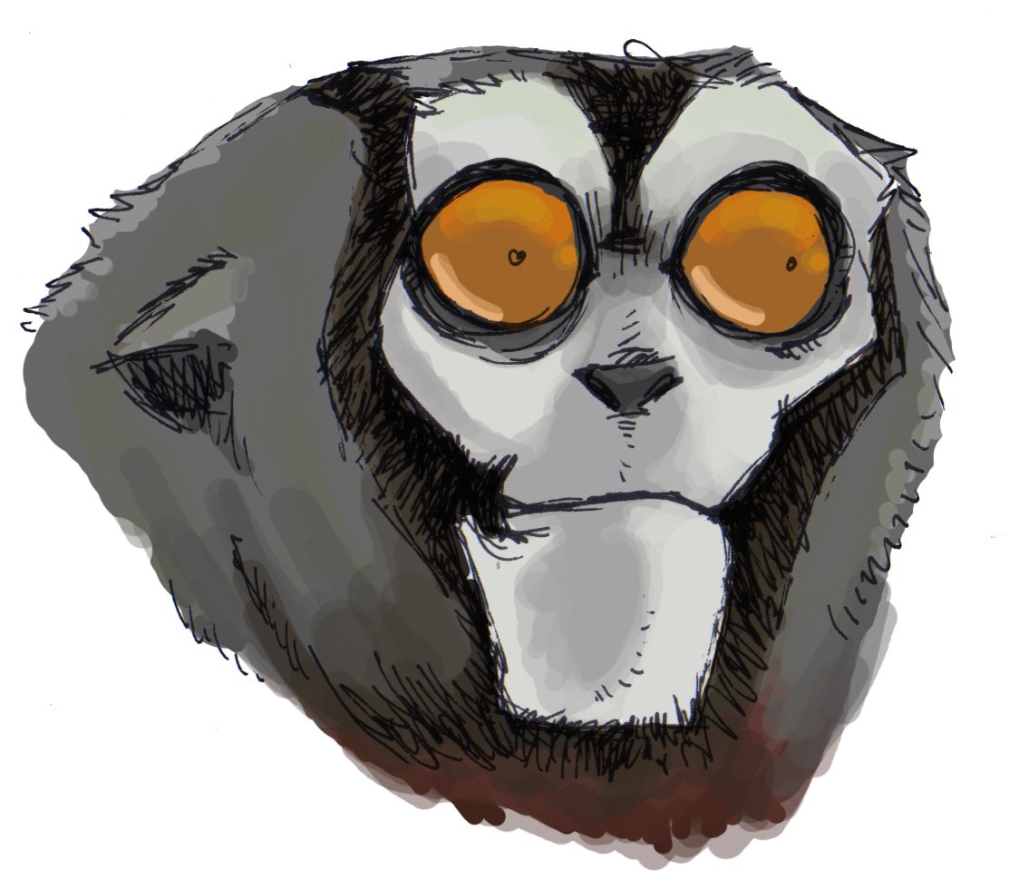 [sorrel+sparks+owl+monkey+sketch.jpg]