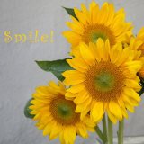 [Smile-Sunflower-Bouquet-Photographic-Print-I13214447.jpg]