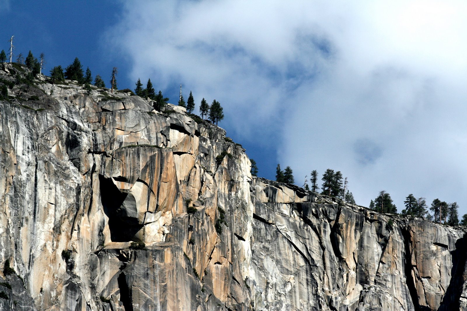 [Bar+Trip+2517+-+Yosemite+National+Park.jpg]