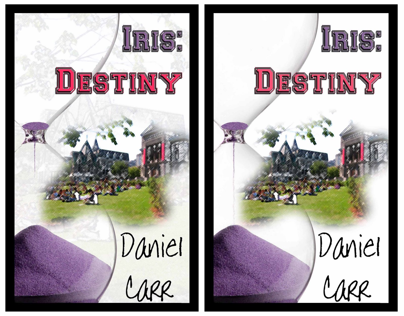 [Iris+Destiny+front+cover+confussion+for+blogs.jpg]