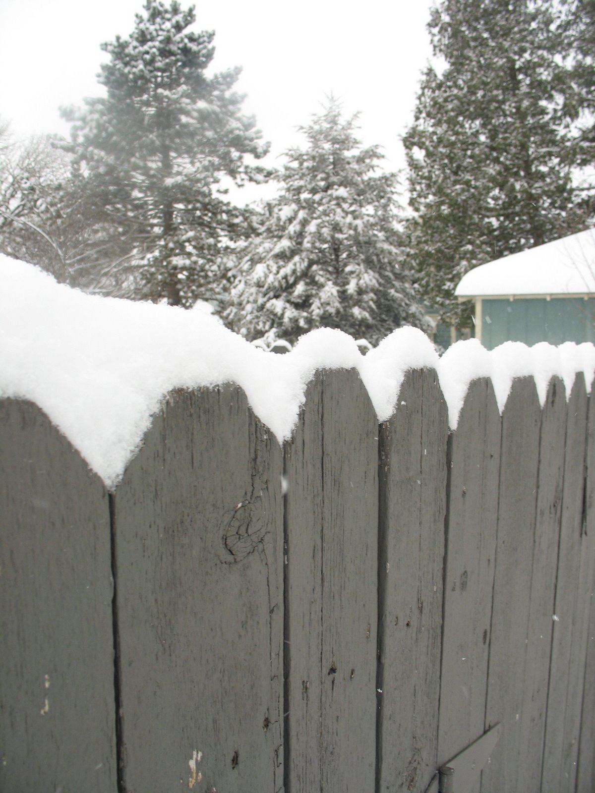 [snow+decorates+the+fence.jpg]