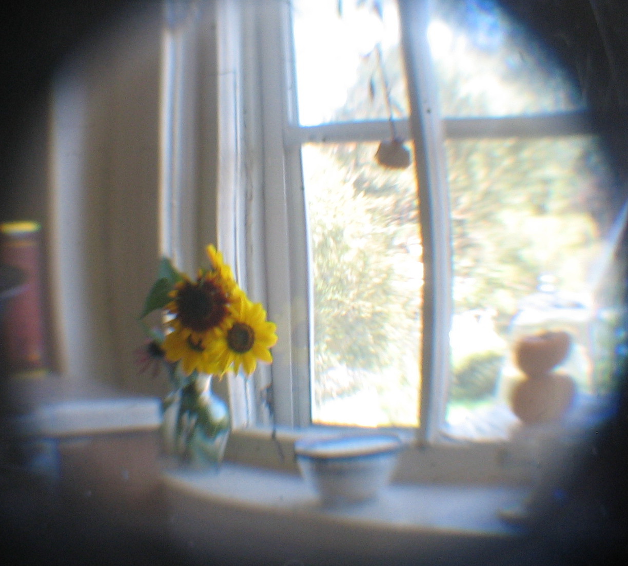 [view+from+my+window.jpg]