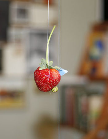 [long+stemmed+strawberry+-+Mary+Klein.jpg]