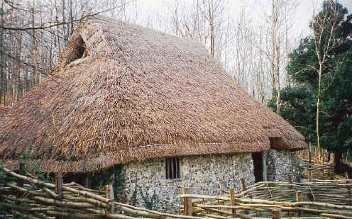 [hangleton_medieval_cottage.jpg]