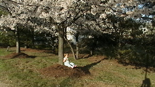 [spring+2008+069.jpg]