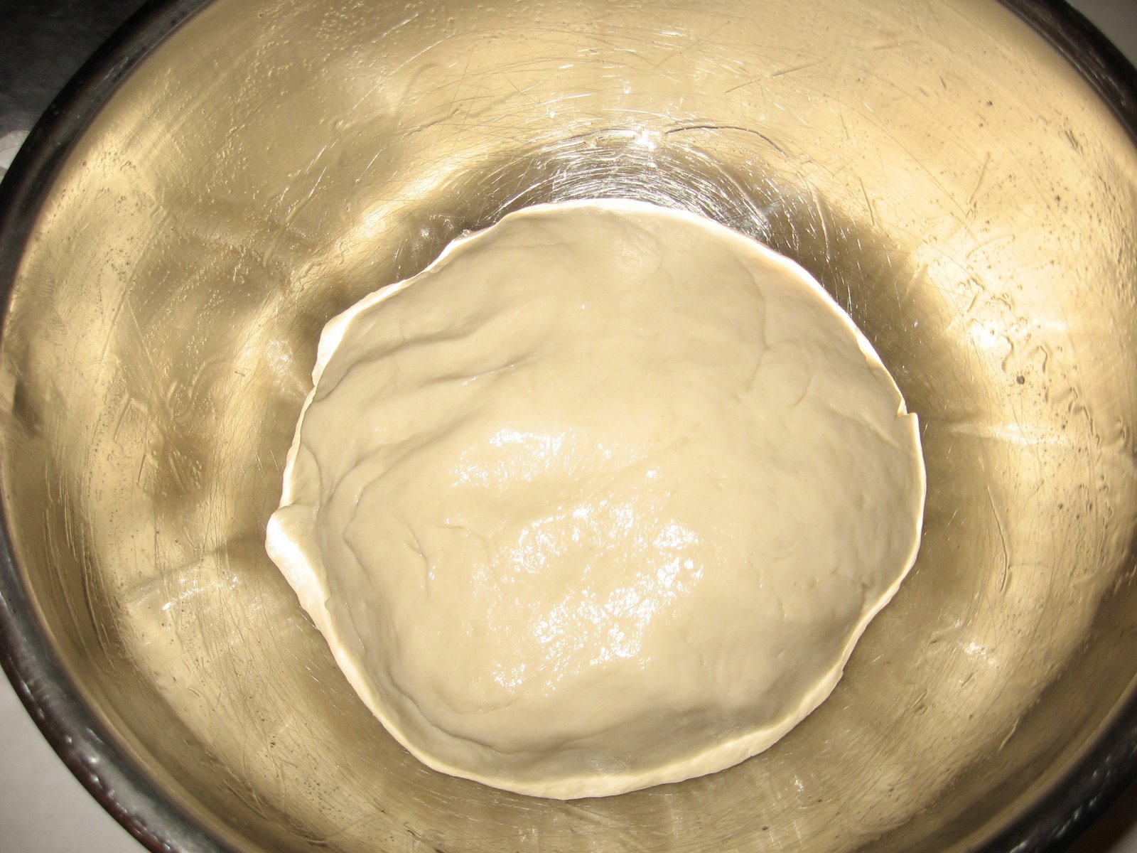 [dough+in+the+oiled+bowl.JPG]