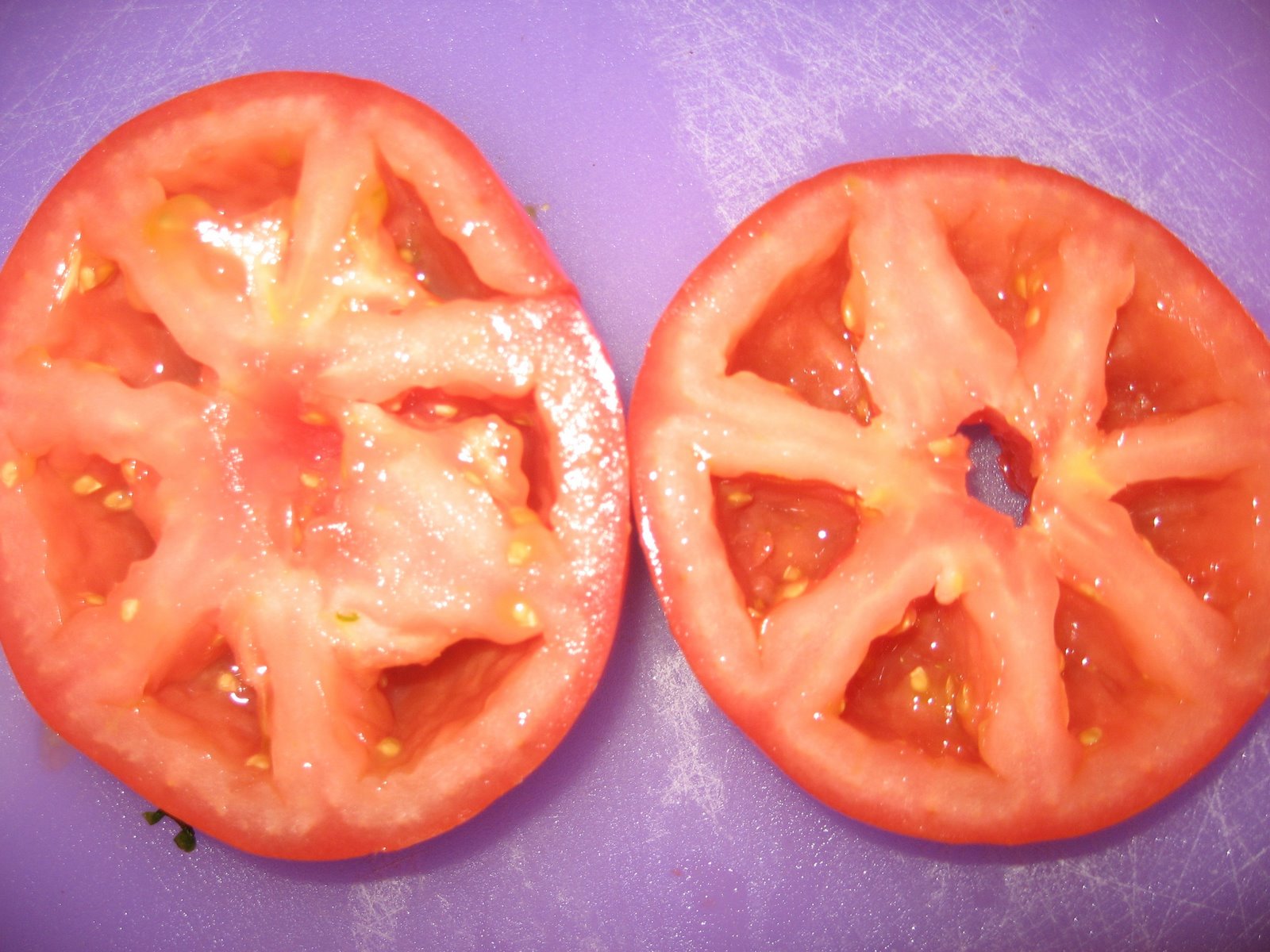 [seeded+tomatos.JPG]