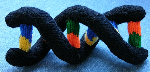 [knit-dnaright1.jpg]