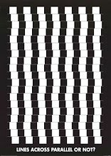 Optical illusion 14