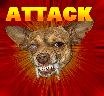 [attack+dog.jpg]
