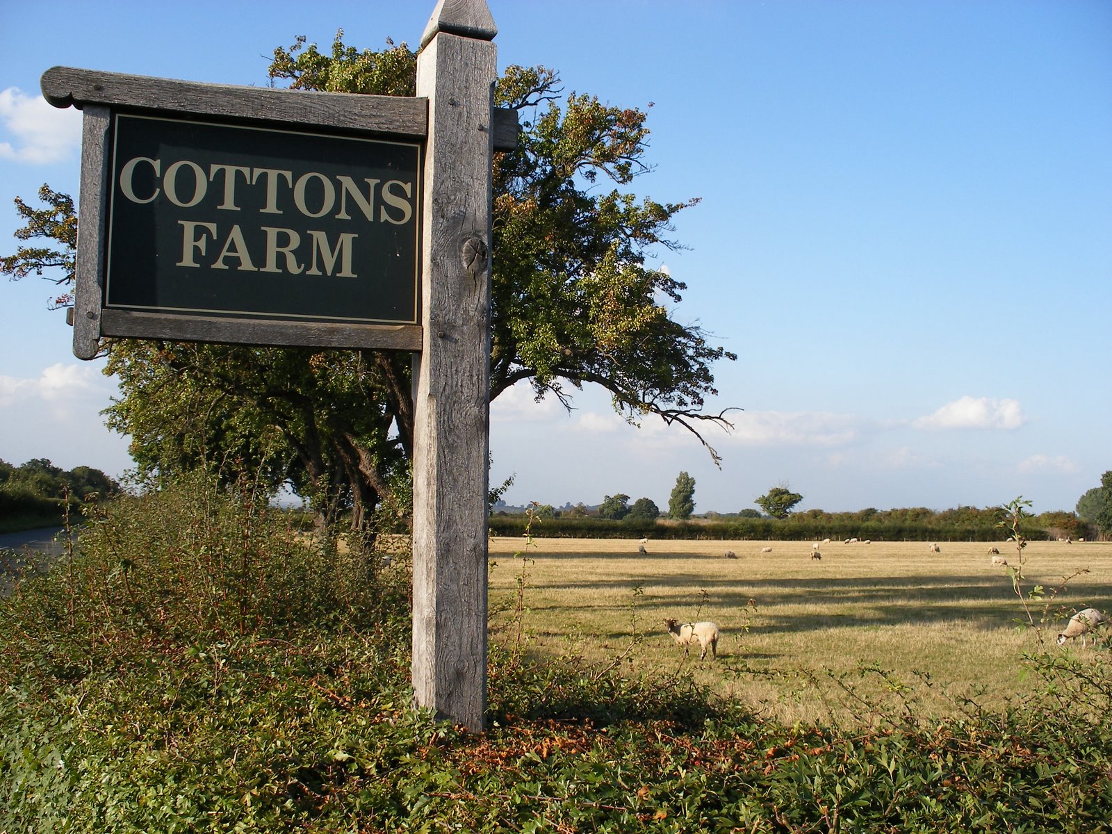 [Cottons+Farm+01.JPG]
