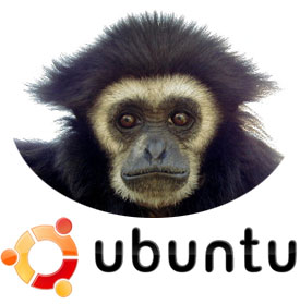 [ubuntu-gutsy-gibbon.jpg]